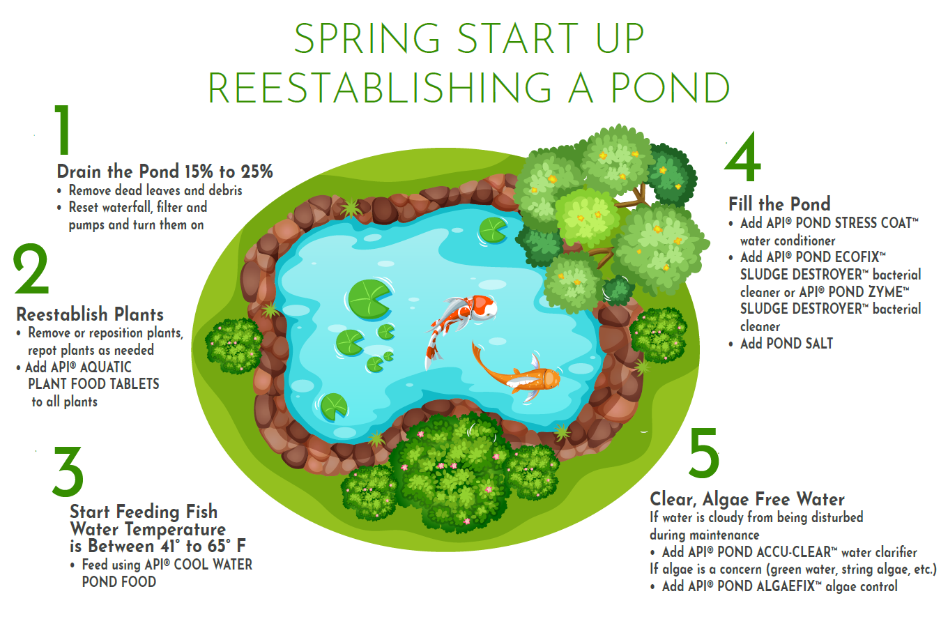 Pond Spring Start-Up